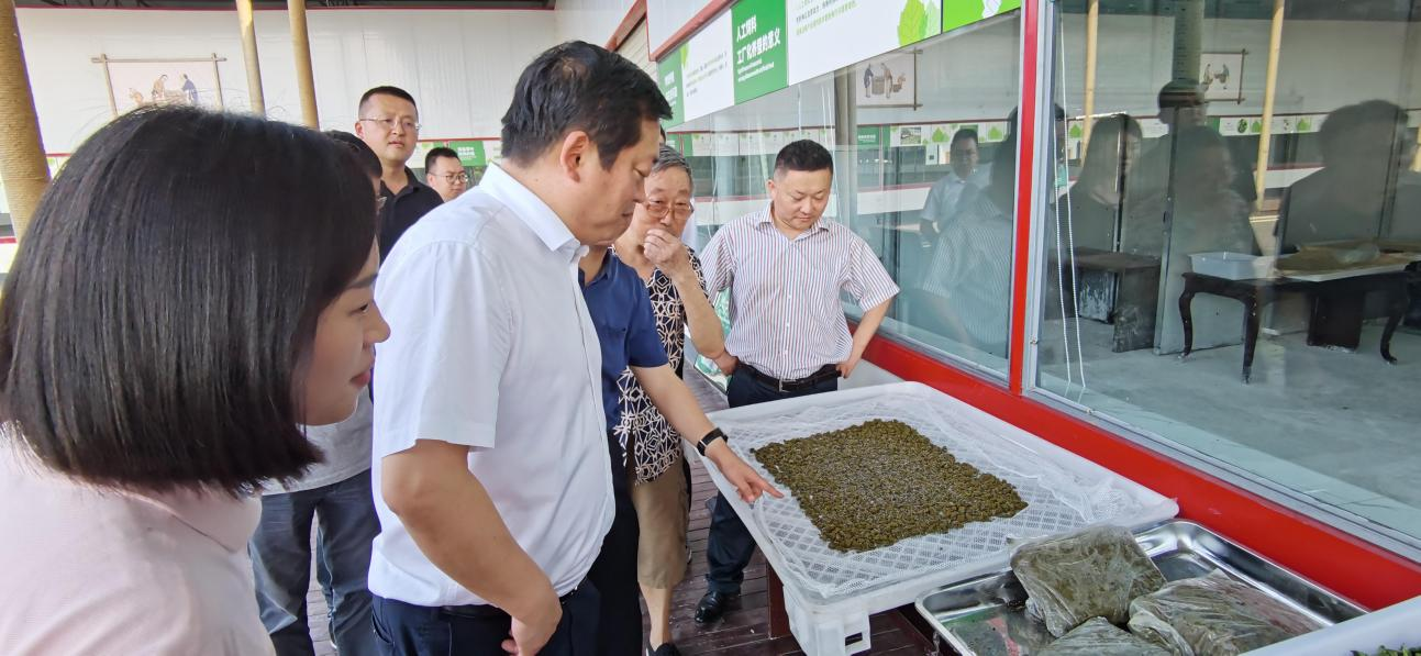 省尊龙凯时集团党委副书记、董事陈日赴嘉陵区调研茶桑产业发展情况